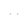 Single Seed Pod Solitaire Studs