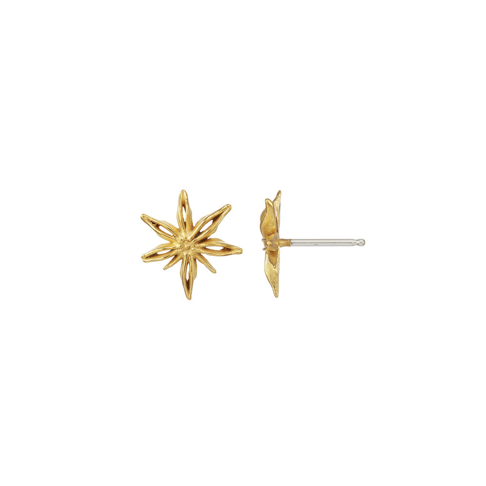 Mini Star Anise Posts