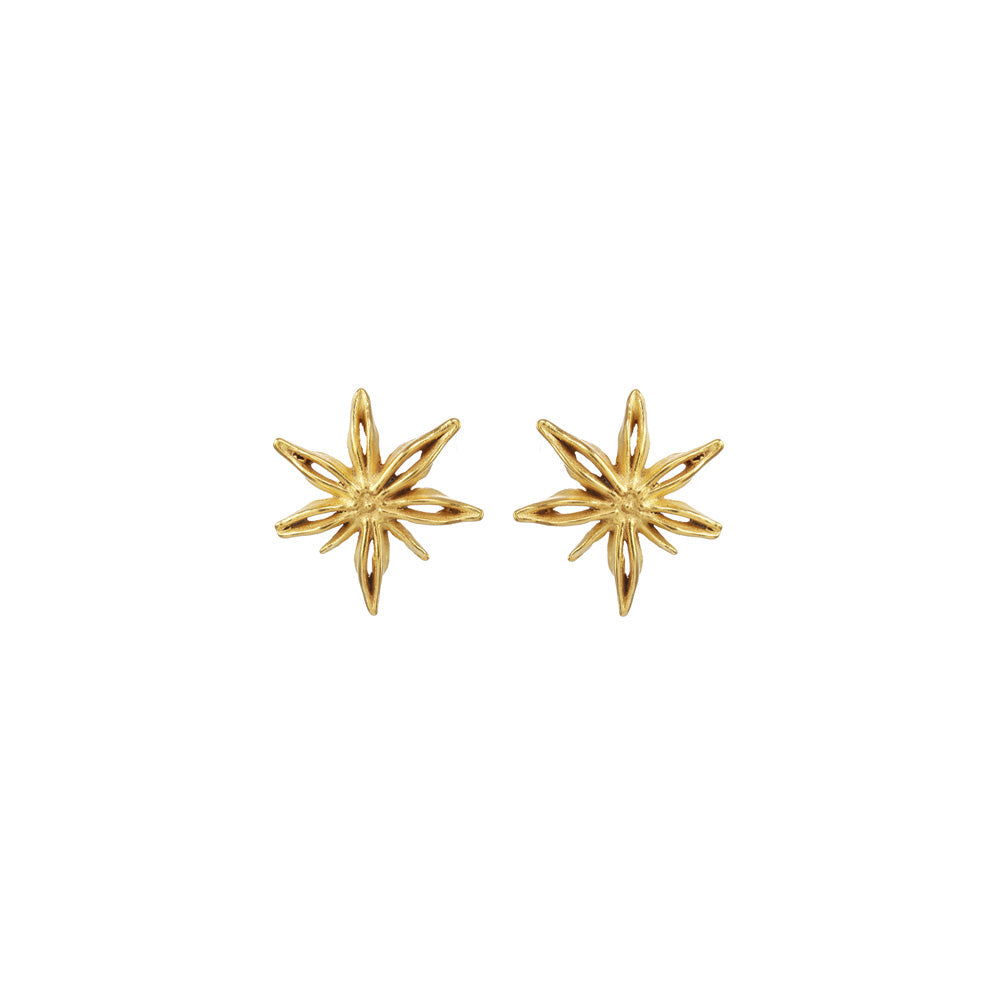 Mini Star Anise Posts