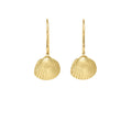 Small Sun Shell Earrings