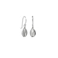 Cowrie Shell Earrings