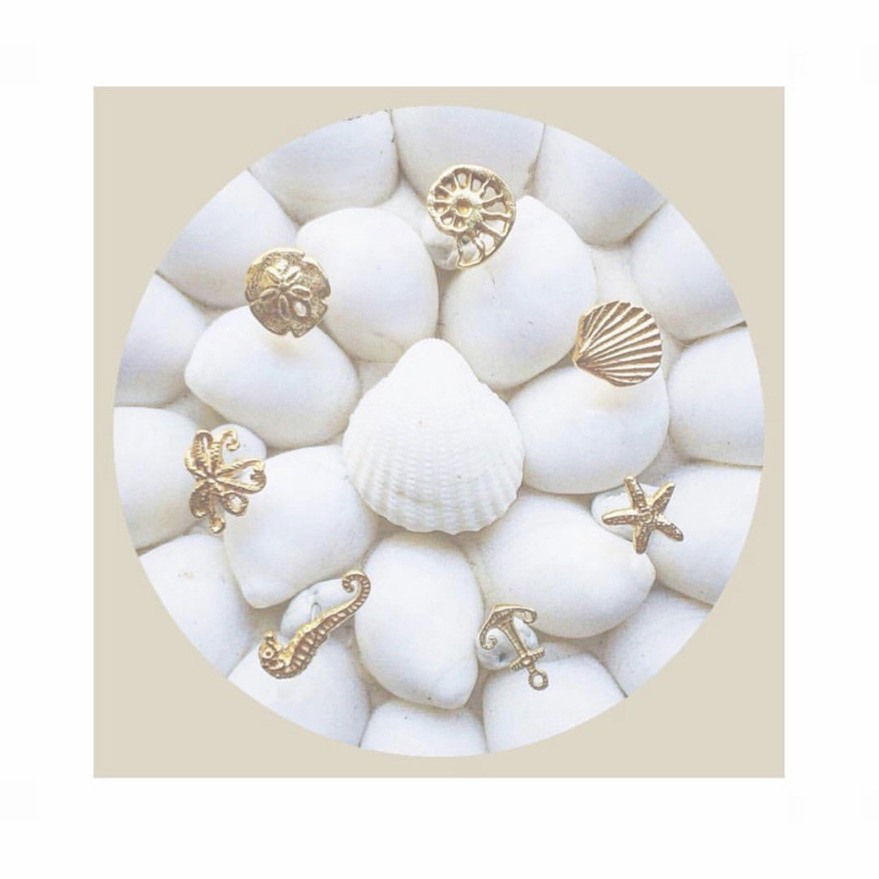 Mini Sand Dollar Posts