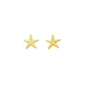 Mini Starfish Stud Earrings