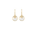 Mini Starfish with Bezel Earrings