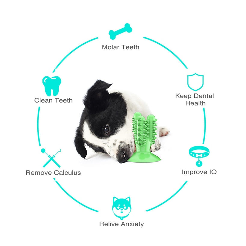 Bite Resistant Dog Toothbrush Pet Molar Tooth Cleaning Brushing Stick