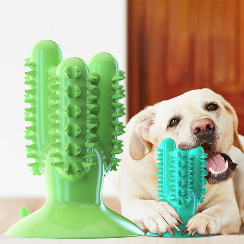 Bite Resistant Dog Toothbrush Pet Molar Tooth Cleaning Brushing Stick