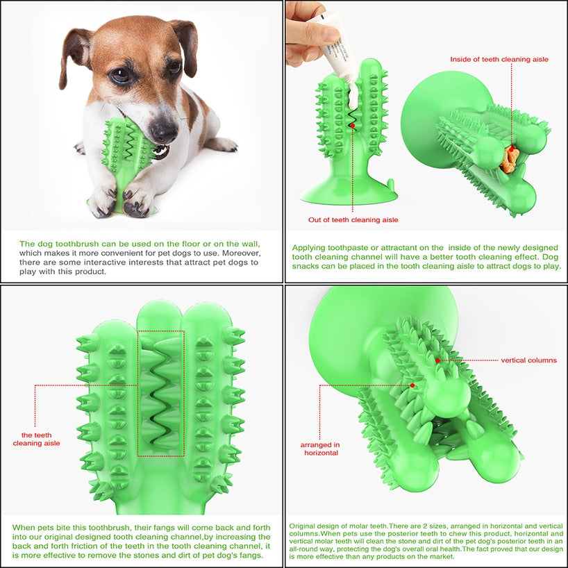Bite Resistant Dog Toothbrush Pet Molar Tooth Cleaning Brushing Stick