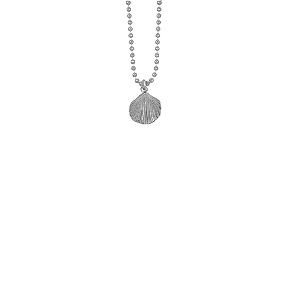 Small Fan Shell Necklace