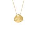 Small Sun Shell Necklace