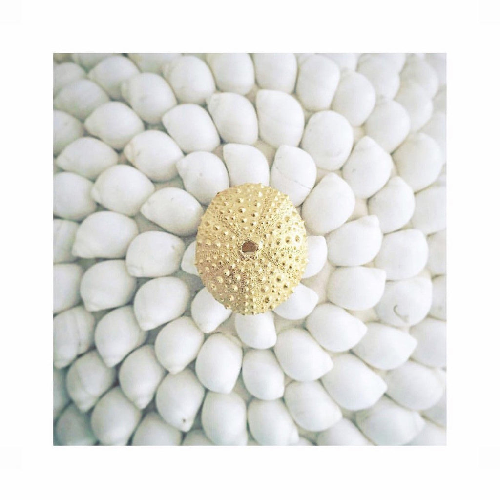Urchin Ring