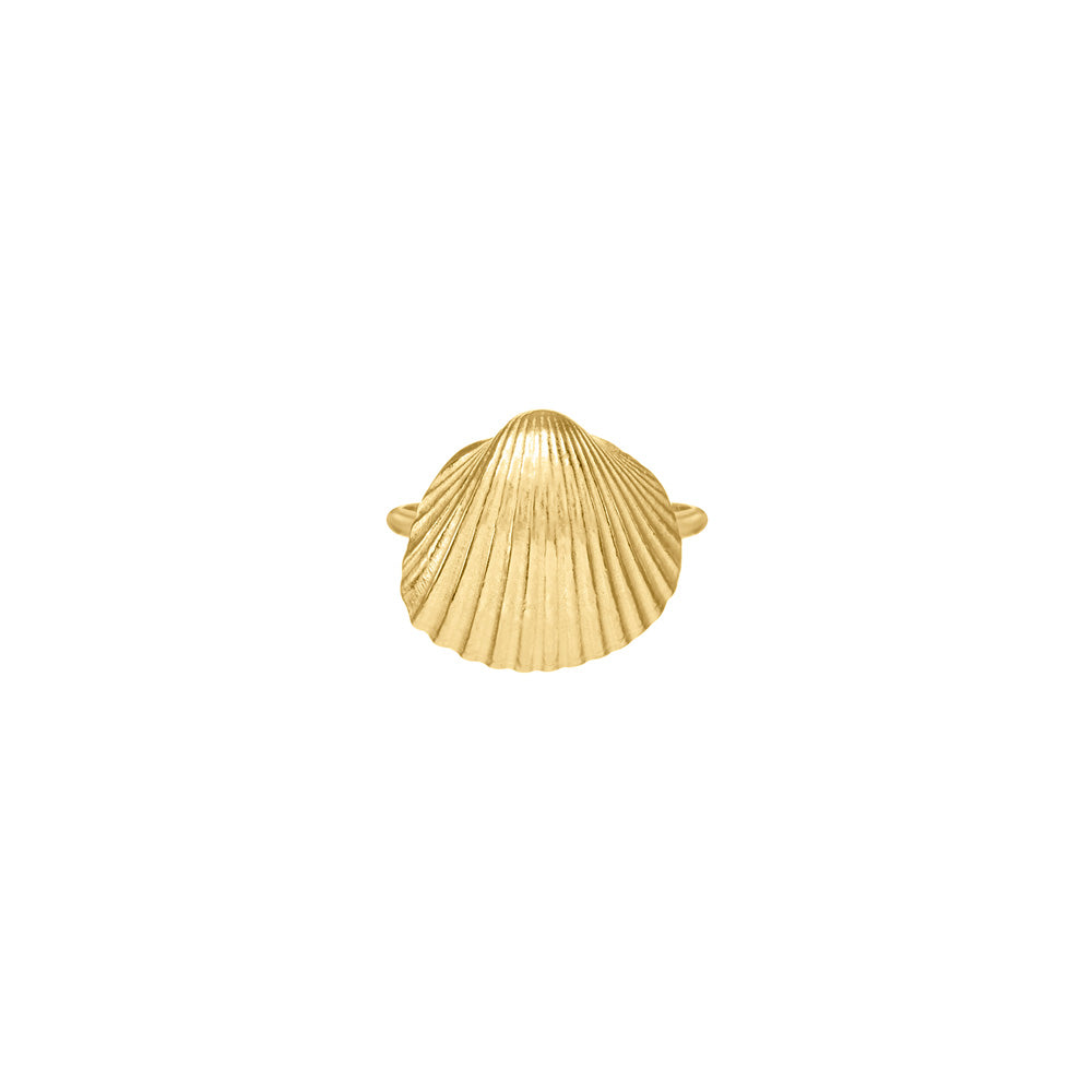 Small Sun Shell Ring