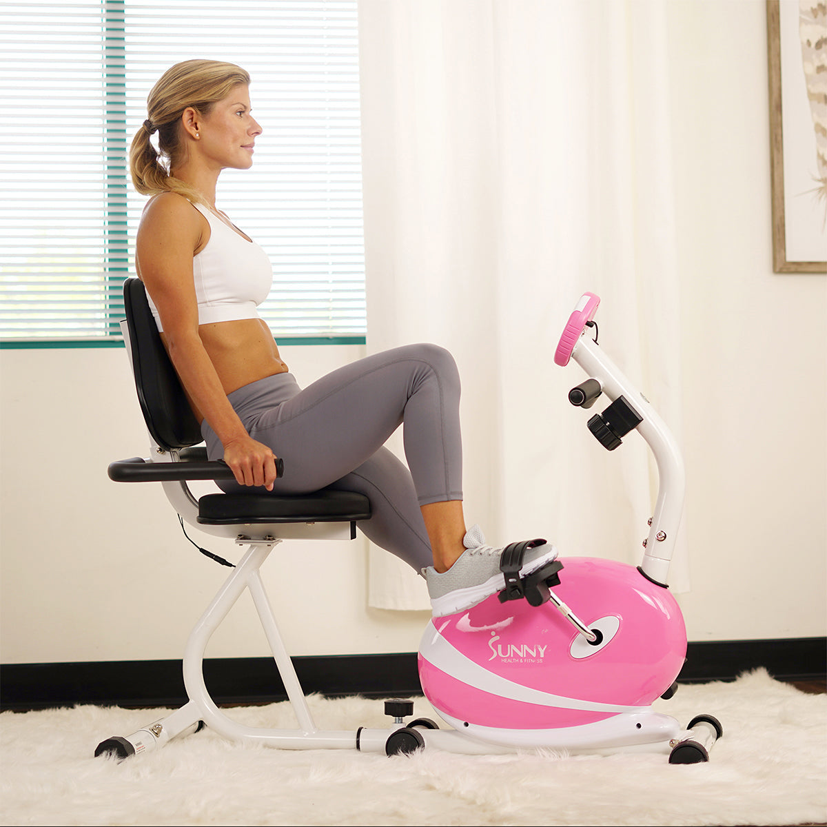 Magnetic Recumbent Bike Exercise Bike, 220lb Capacity, Monitor, Pulse Rate Monitoring